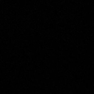 Meet your Posher, Bree